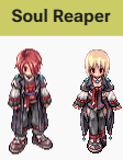 Tổng quan Soul Reaper